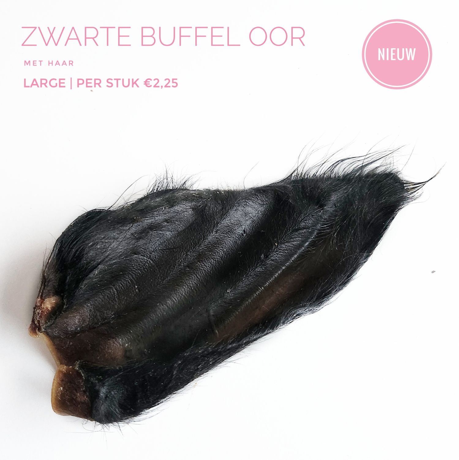 Buffel oor (large)