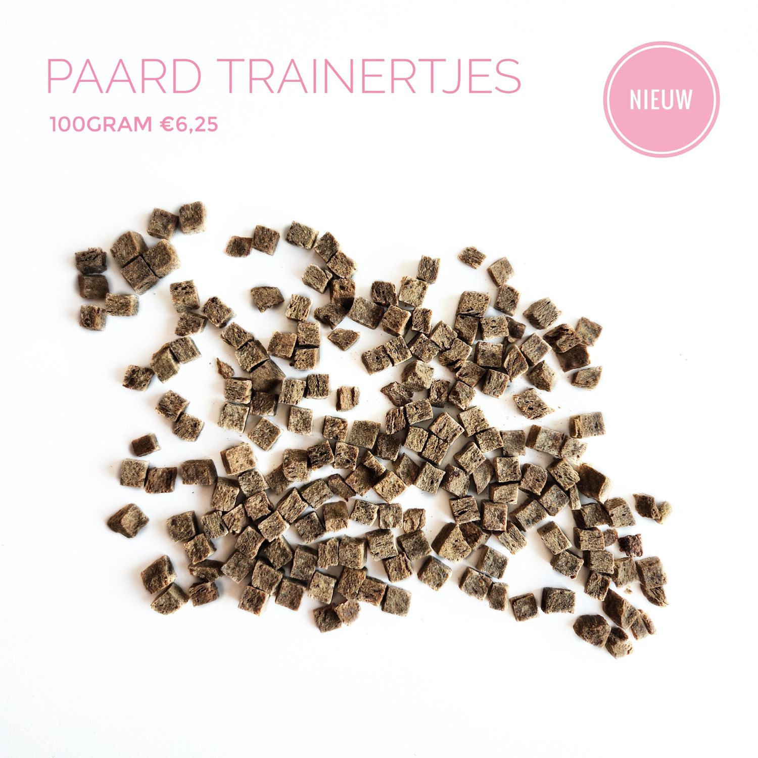 Paard trainertjes 