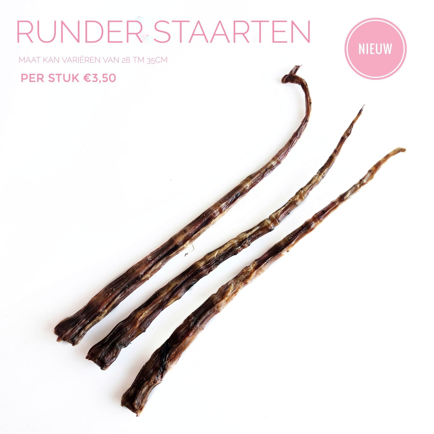 Runder staarten