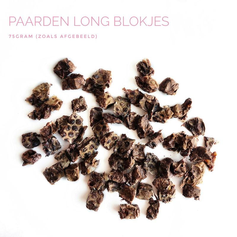 Paard long blokjes