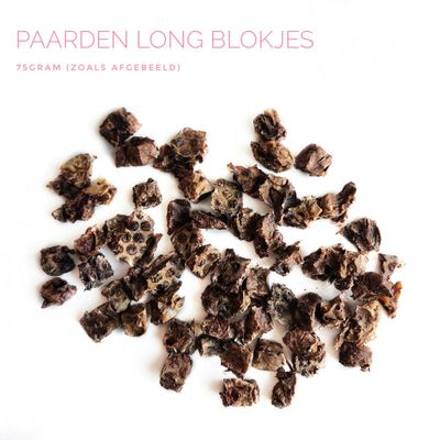 Paard long blokjes