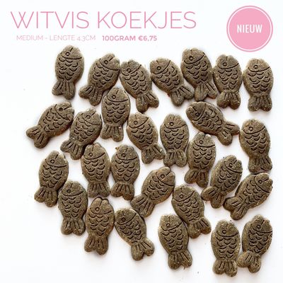 witvis koekjes (medium) witvis koekjes (medium)