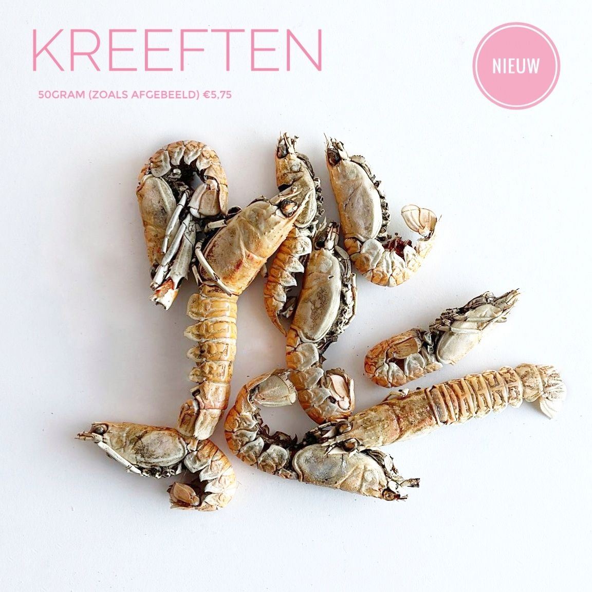 Kreeften (50gram)