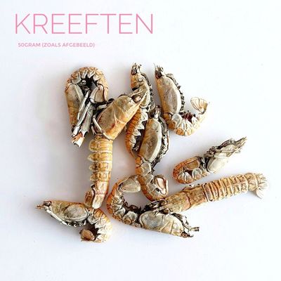 Kreeften (50gram)