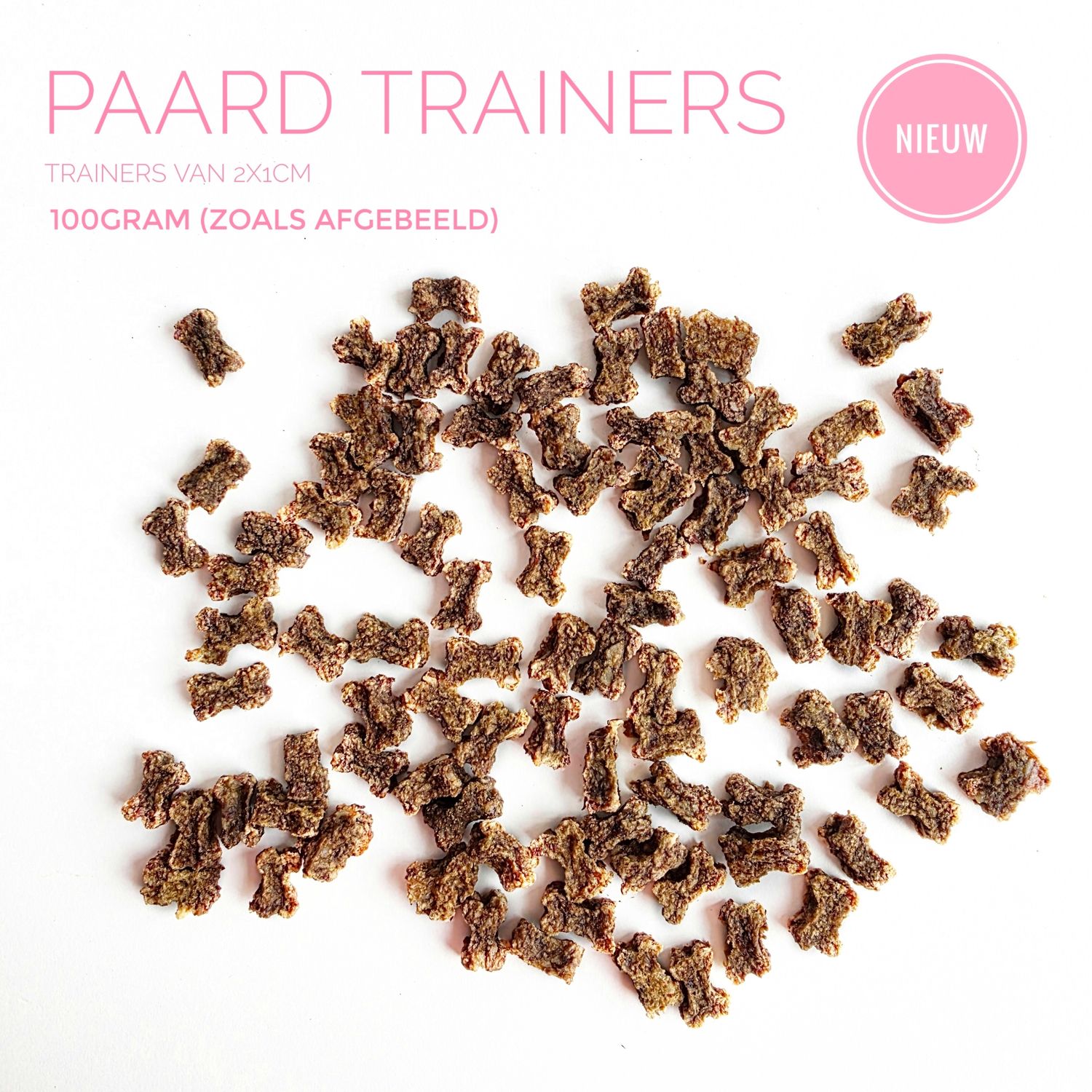 Paard trainers