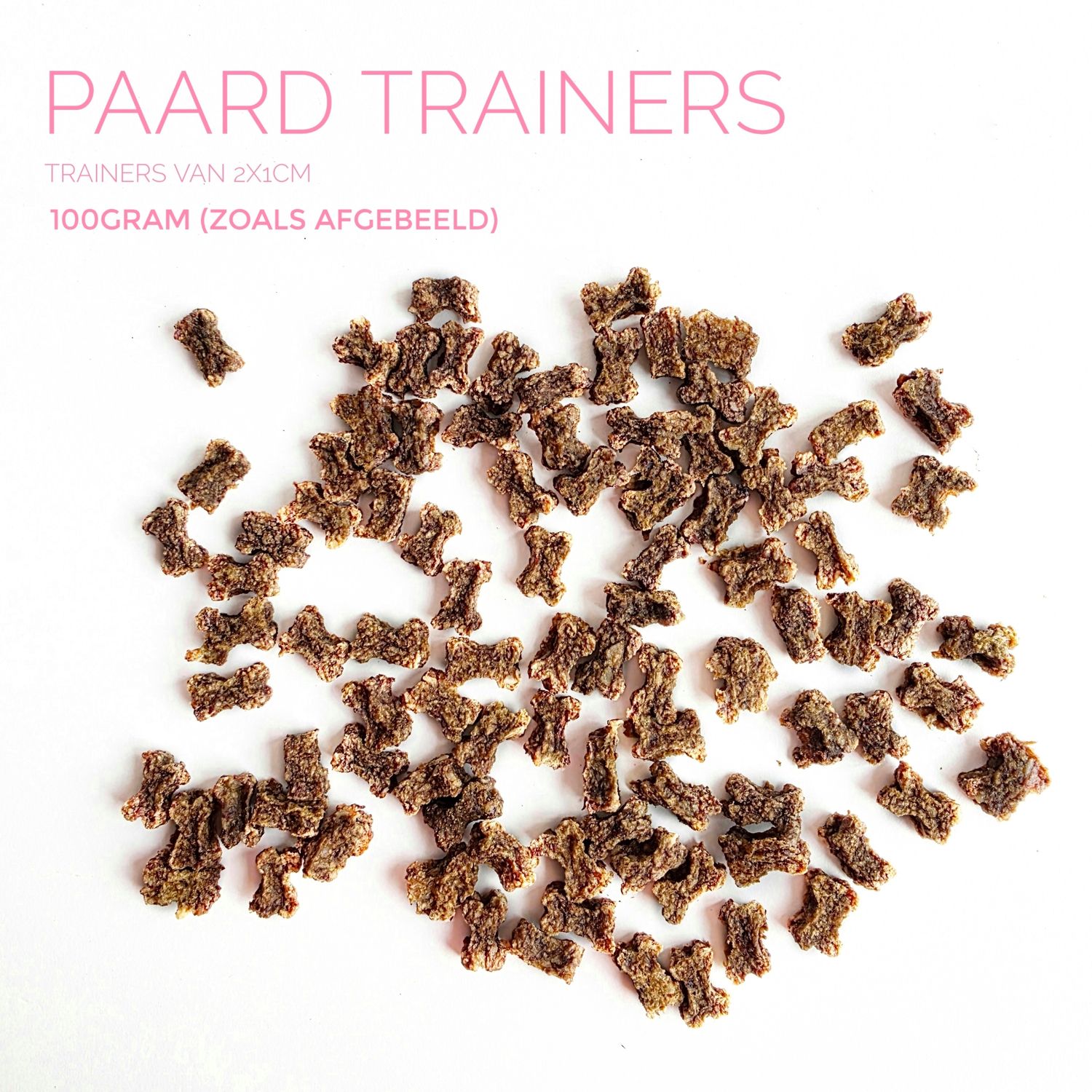 Paard trainers