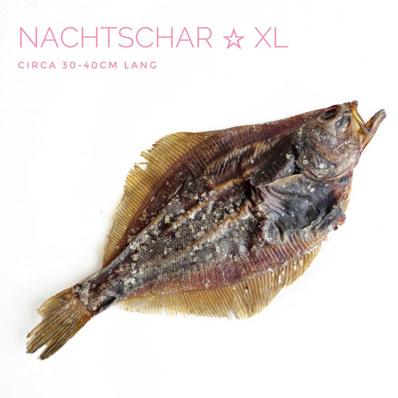 Nachtschar XL Nachtschar XL