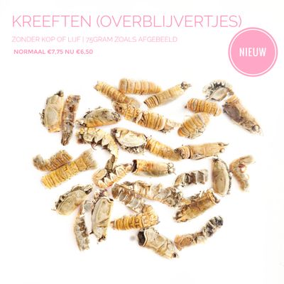 Kreeften (overblijvertjes)
