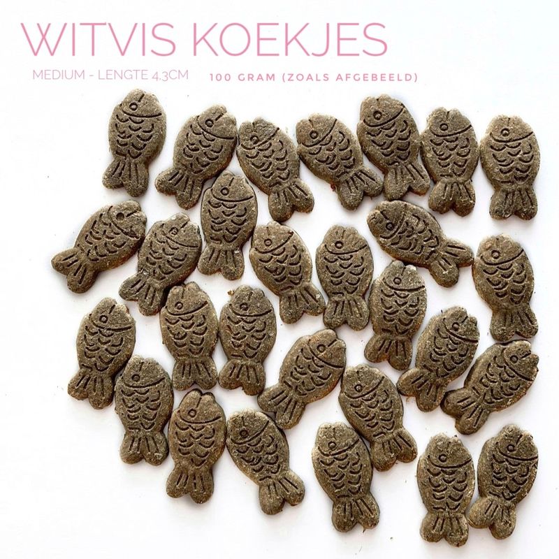 witvis koekjes (medium) witvis koekjes (medium)