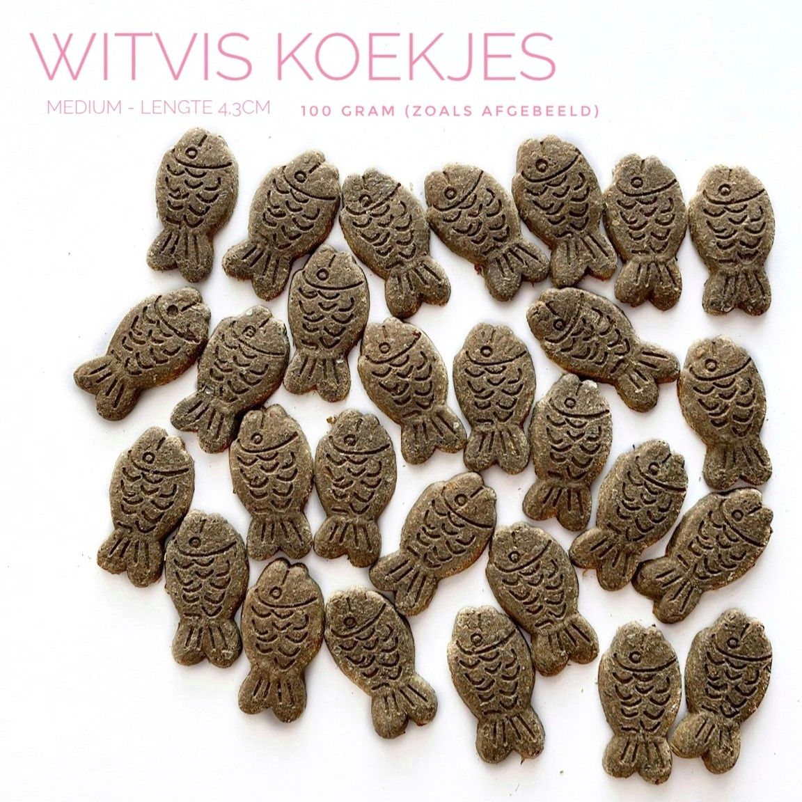 witvis koekjes (medium)