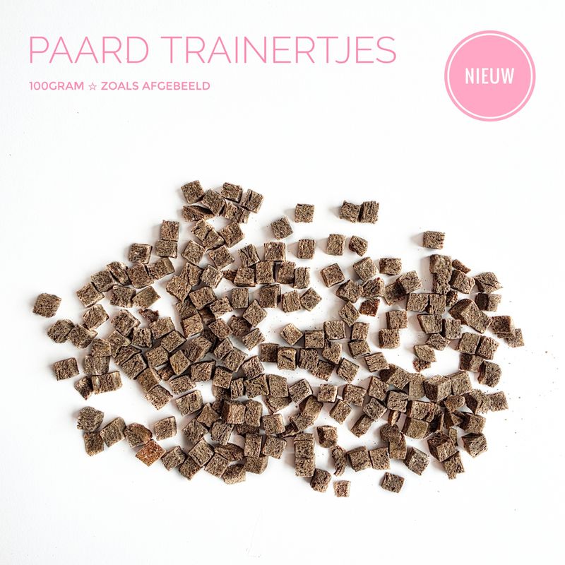 Paard trainertjes