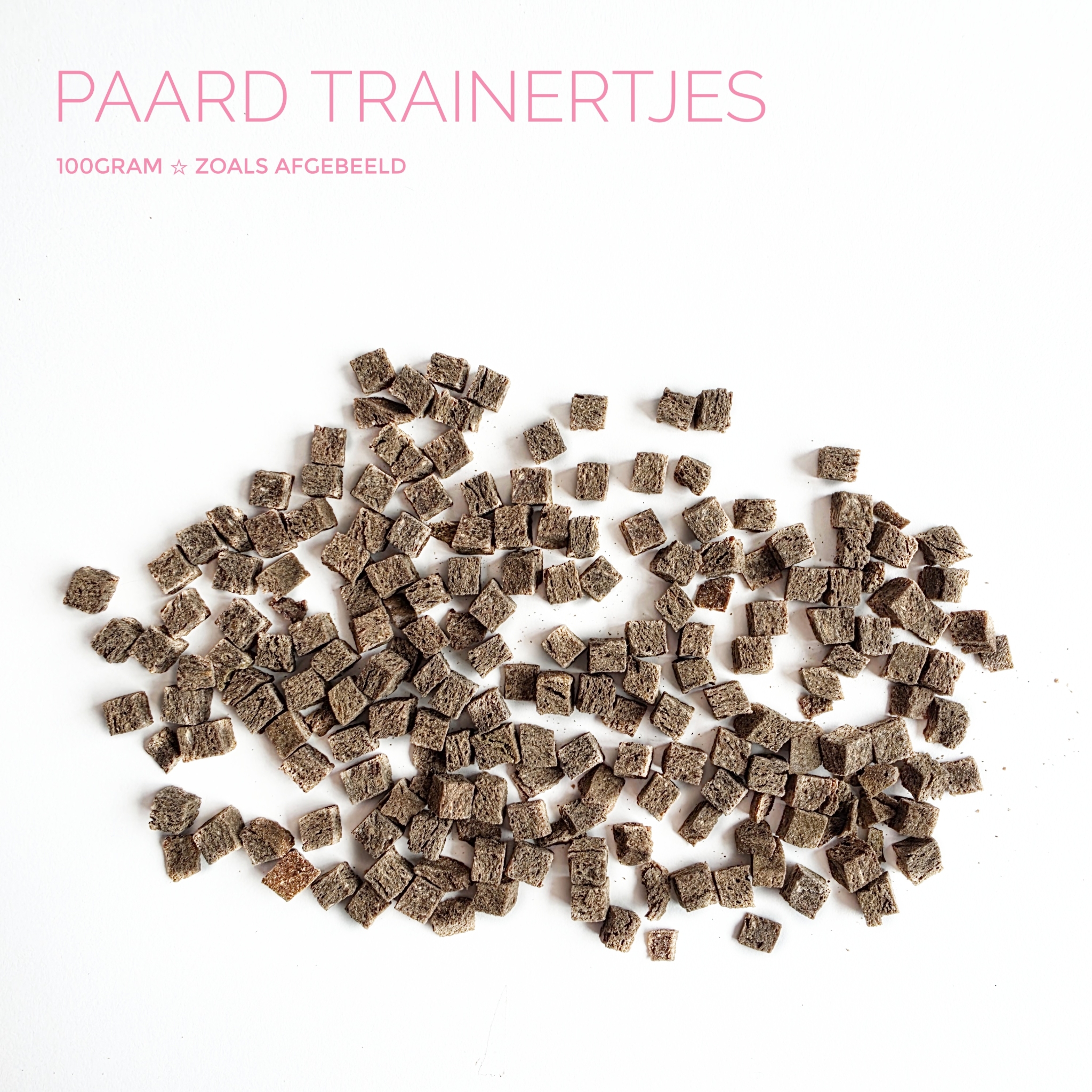 Paard trainertjes
