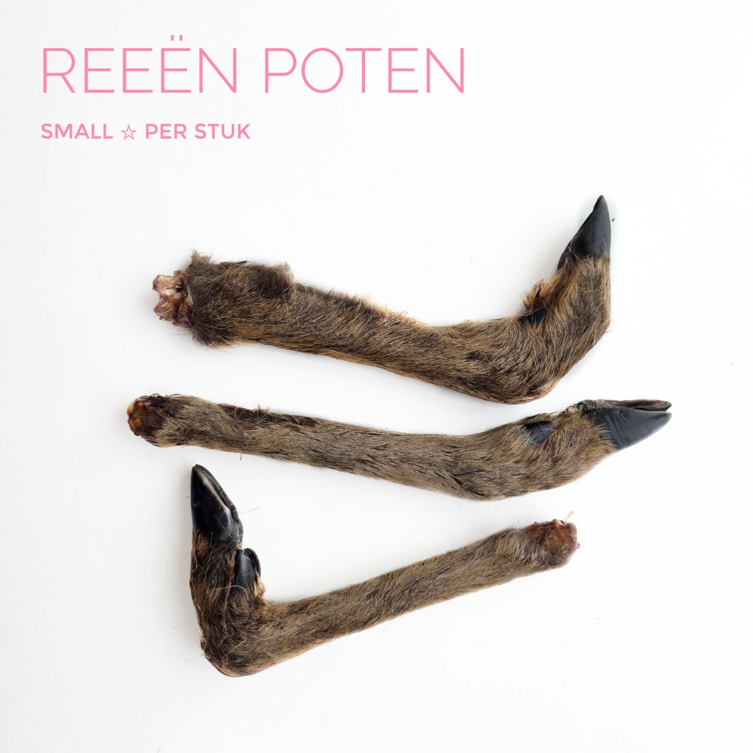 Reeën poot (S)