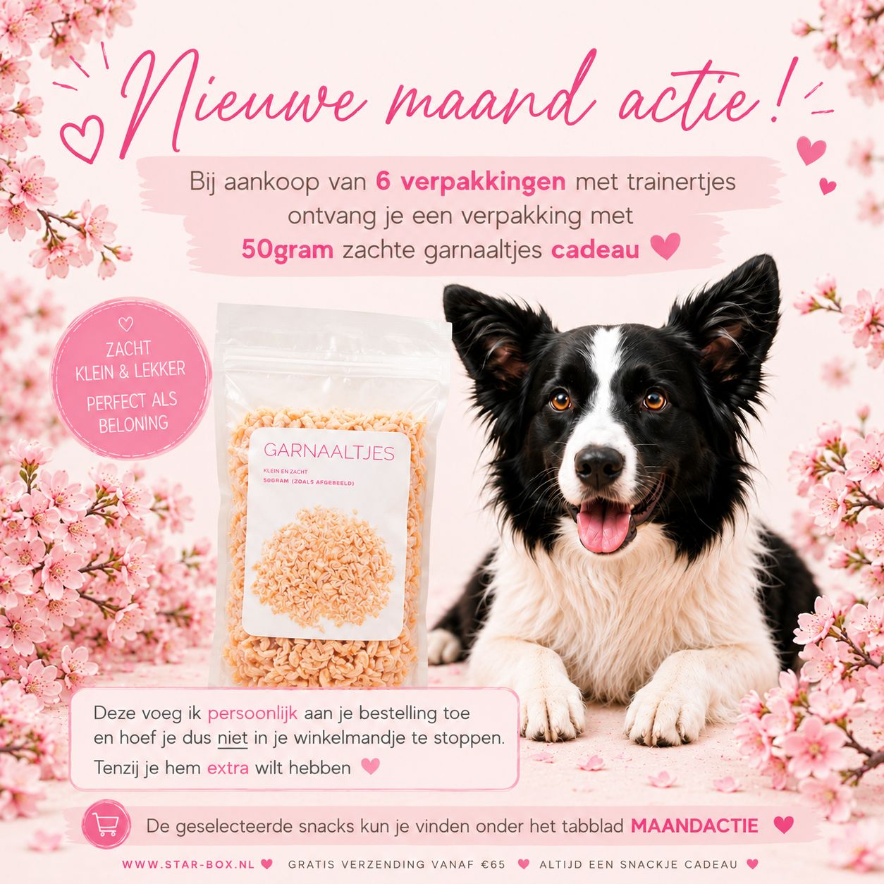 maandactie JUNI maandactie JUNI