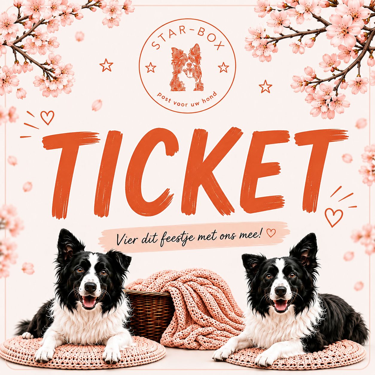 Ticket Ticket