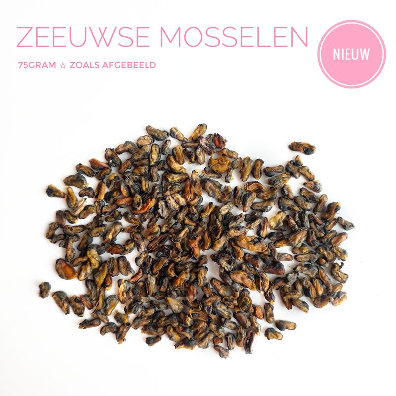 Zeeuwse mosselen 
