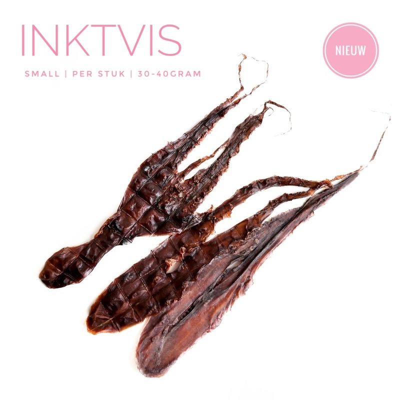 Inktvis small 30-40gram Inktvis small 30-40gram