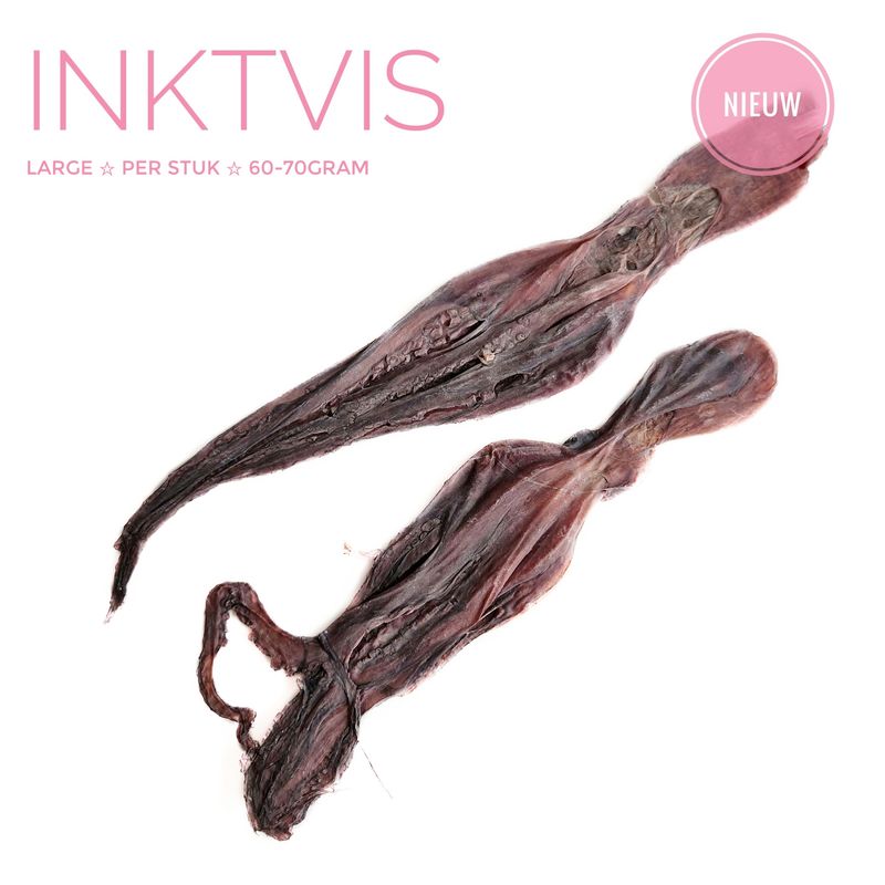 Inktvis medium 60-70gram Inktvis medium 60-70gram