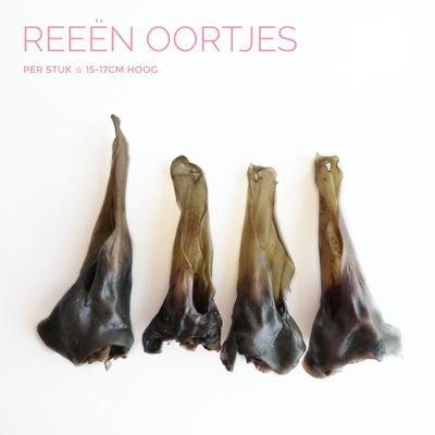 Reeën oortjes Reeën oortjes