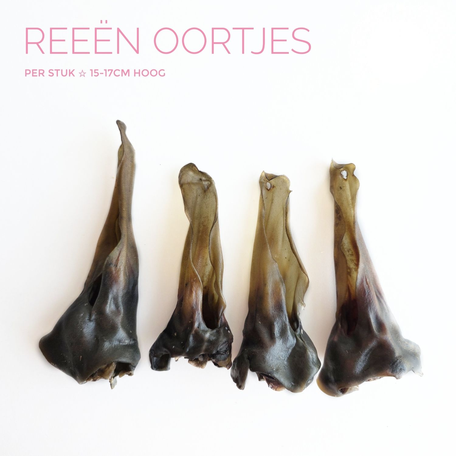 Reeën oortjes