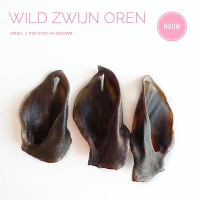 Wild zwijn oren S Wild zwijn oren S