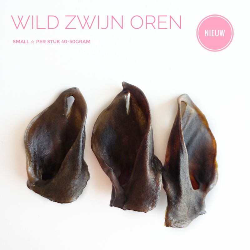 Wild zwijn oren S