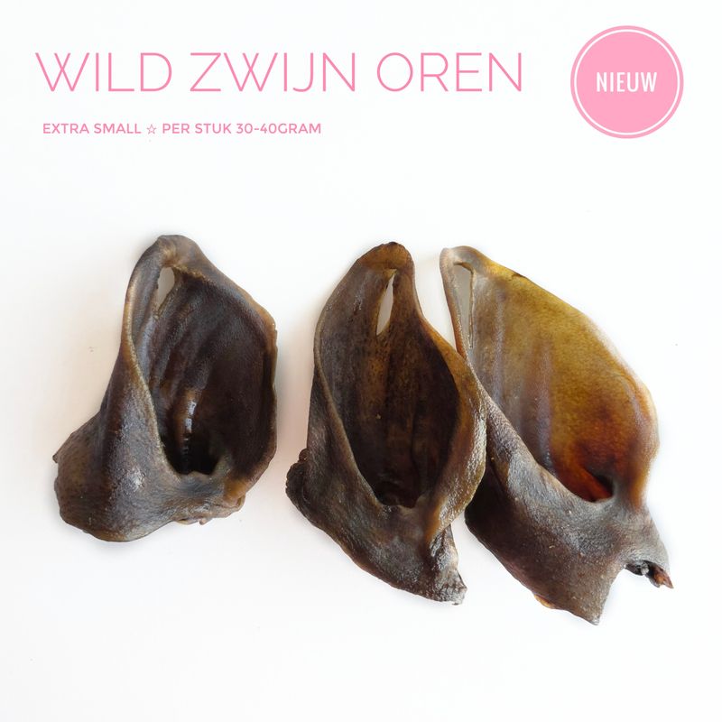 Wild zwijn oren XS
