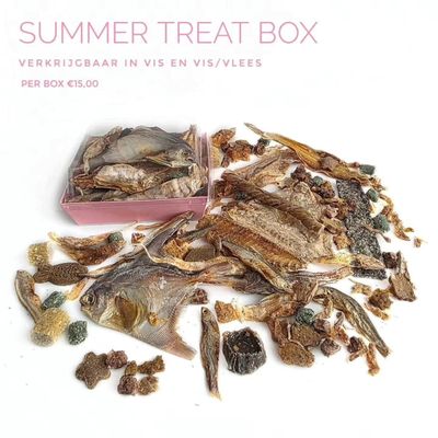 Summer treat box