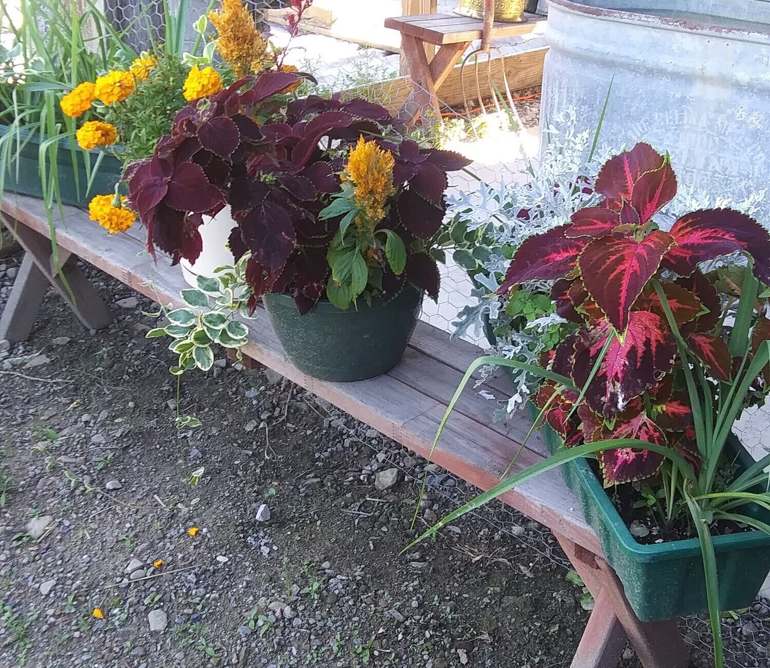 window planters and potted planters