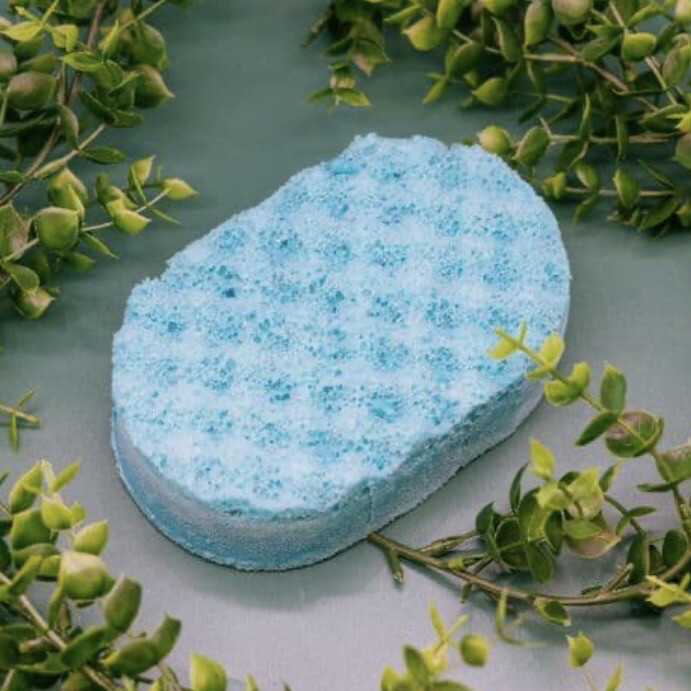 Mint Tingle Soap Sponge🧼