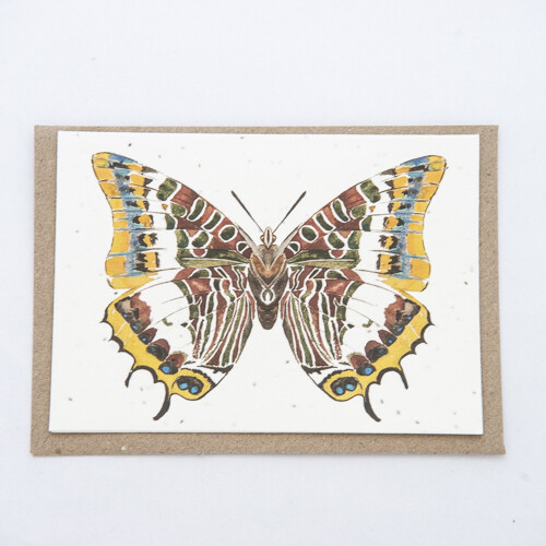 Butterfly Card By Loop Loop