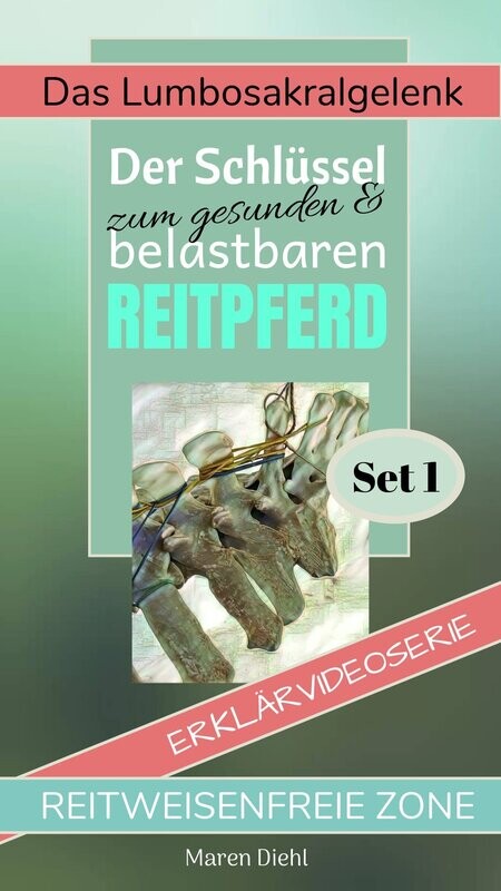 Das Lumbosakralgelenk des Pferdes - SET 1 Das Lumbosakralgelenk des Pferdes - SET 1