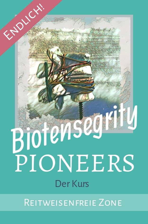 Biotensegrity Pioneers - Der Kurs - August 2024