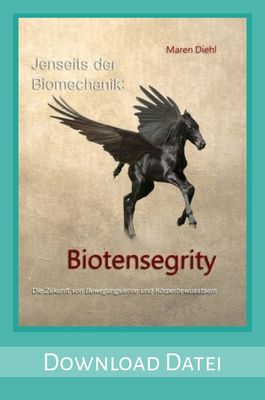 PDF "Jenseits der Biomechanik"