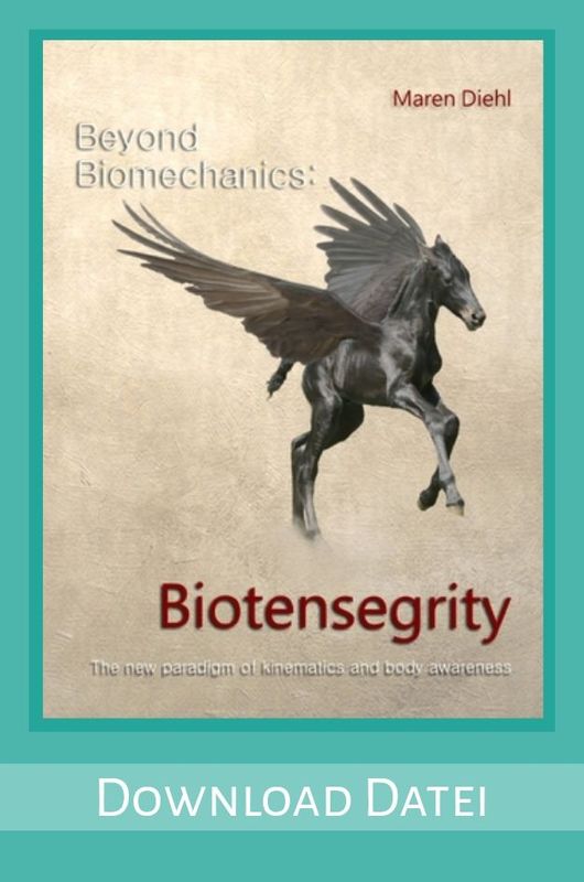 PDF PDF "Beyond Biomechanics"