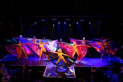 Cardiff Cabaret Clubs shows.