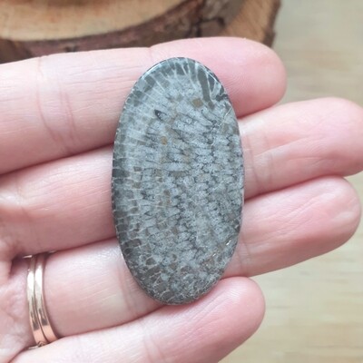 Black Coral Cabochon / Pendant for jewelry making or diy craft projects