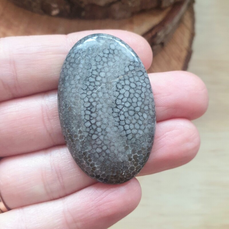 Black Coral Cabochon / Pendant for jewelry making or diy craft projects 10.7gr