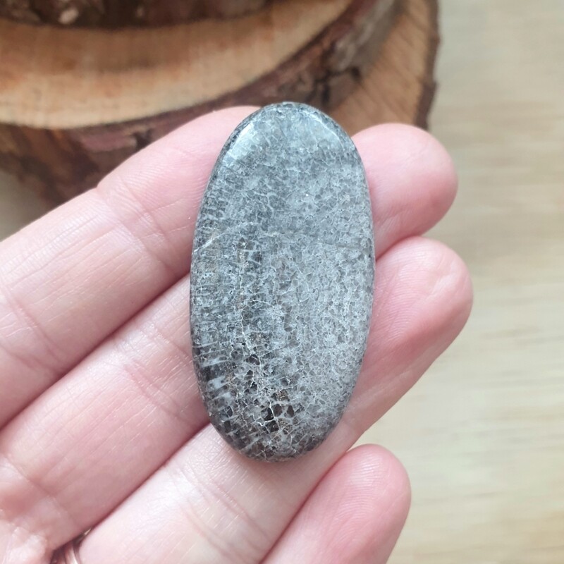 Black Coral Cabochon / Pendant for jewelry making or diy craft projects 14gr