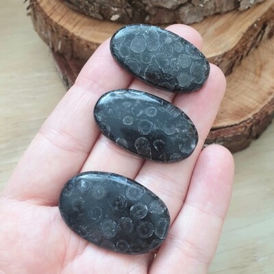 3 x Black Fossil Coral Cabochon Lot / Pendant Lot for jewelry making or diy craft projects 30.2gr