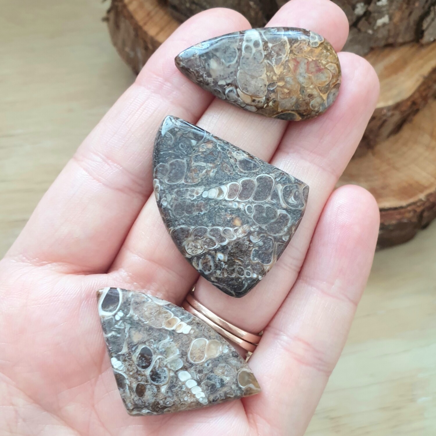 3 x Turtela Jasper Cabochon Lot / Pendant Lot for jewelry making or diy craft projects 20.8gr