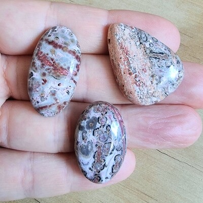 3 x Leopard Jasper side drilled Pendant Lot for jewelry making or diy craft projects 15.4gr