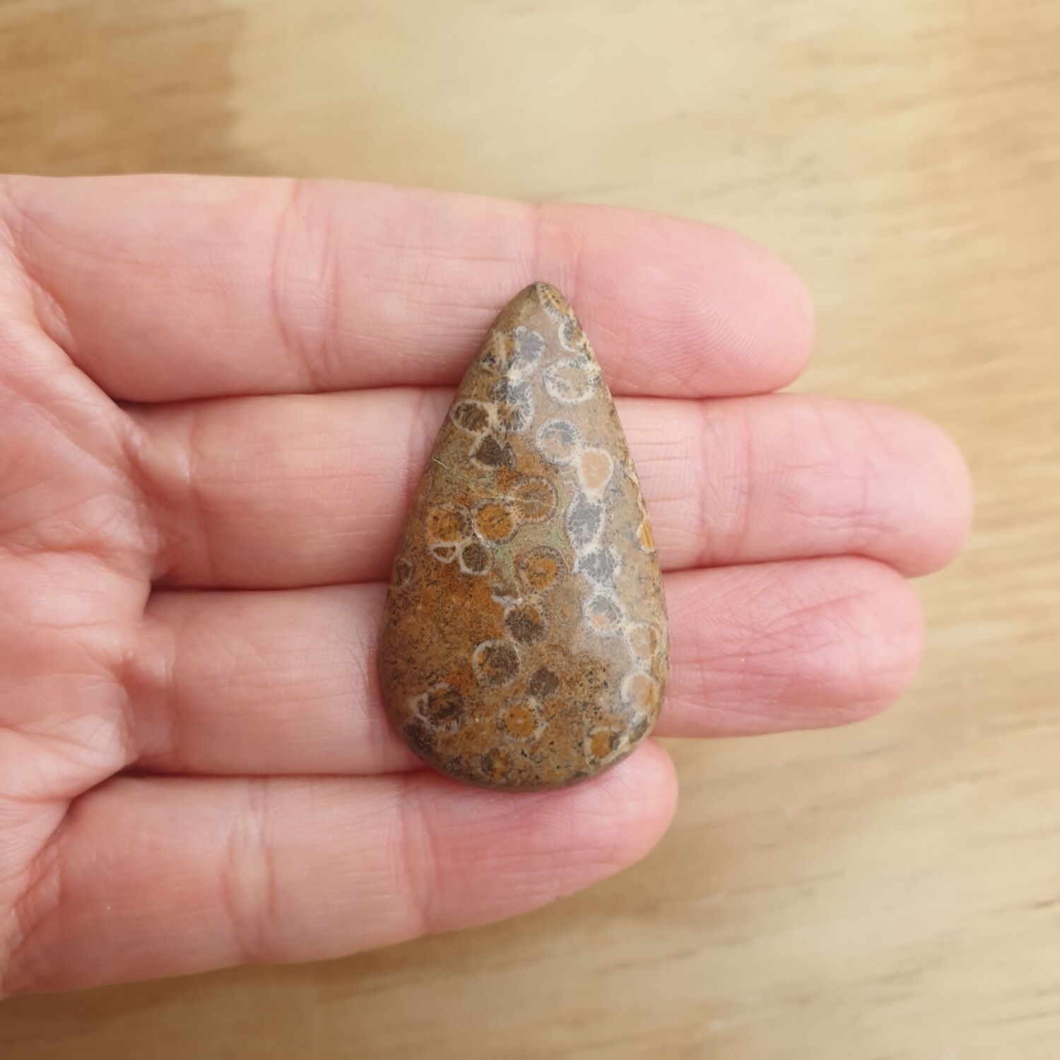 Fossil Coral Cabochon / Pendant for jewelry making or diy craft projects 8.9gr