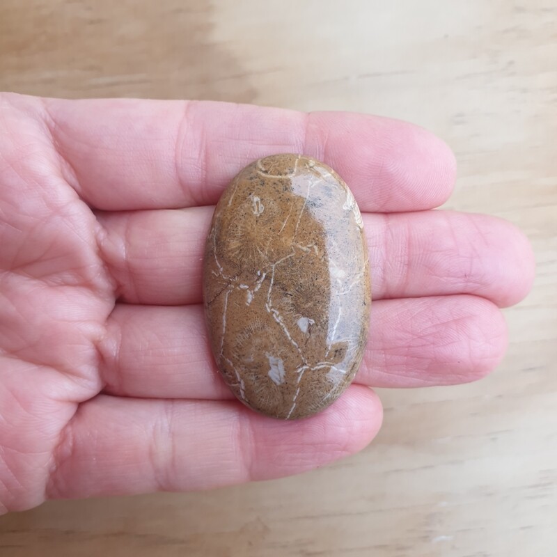 Fossil Coral Cabochon / Pendant for jewelry making or diy craft projects 13.3gr