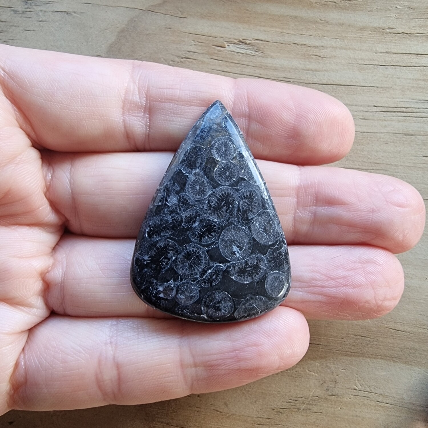 Black Fossil Coral Cabochon / Pendant for jewelry making or diy craft projects 14.4gr
