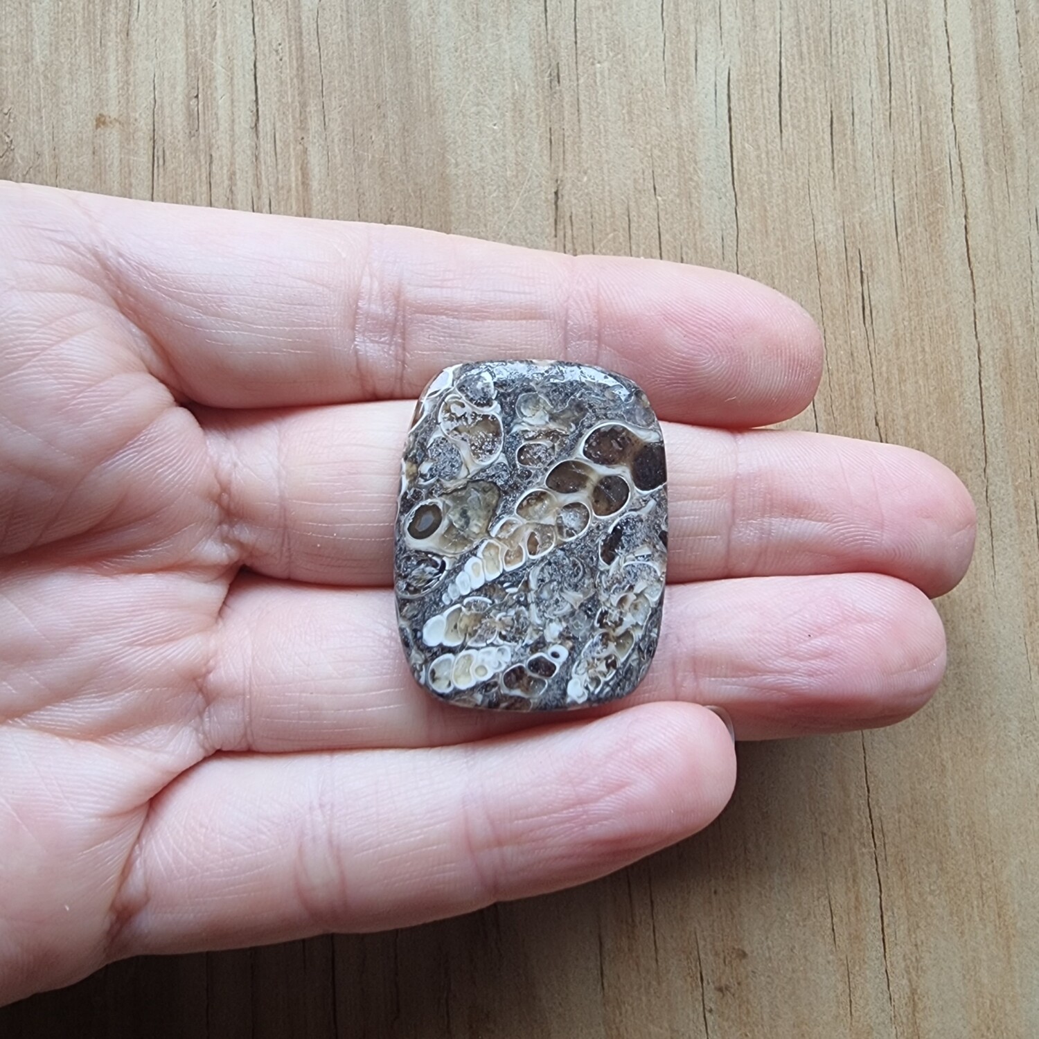 Turtela Jasper Cabochon / Pendant for jewelry making or diy craft projects 13.2gr