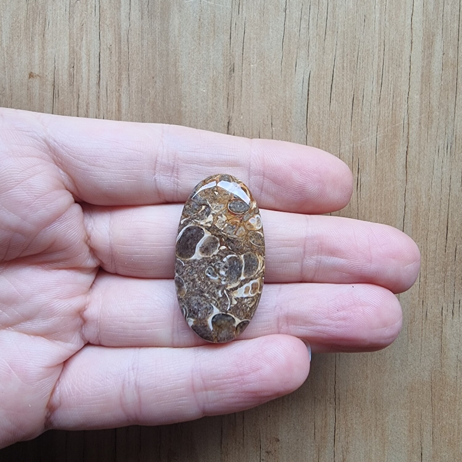 Turtela Jasper Cabochon / Pendant for jewelry making or diy craft projects 10.4gr