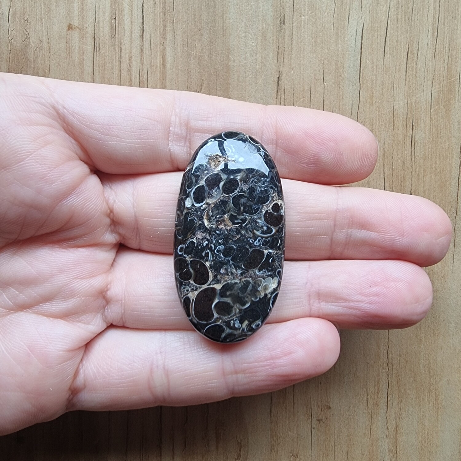 Turtela Jasper Cabochon / Pendant for jewelry making or diy craft projects 24.6gr