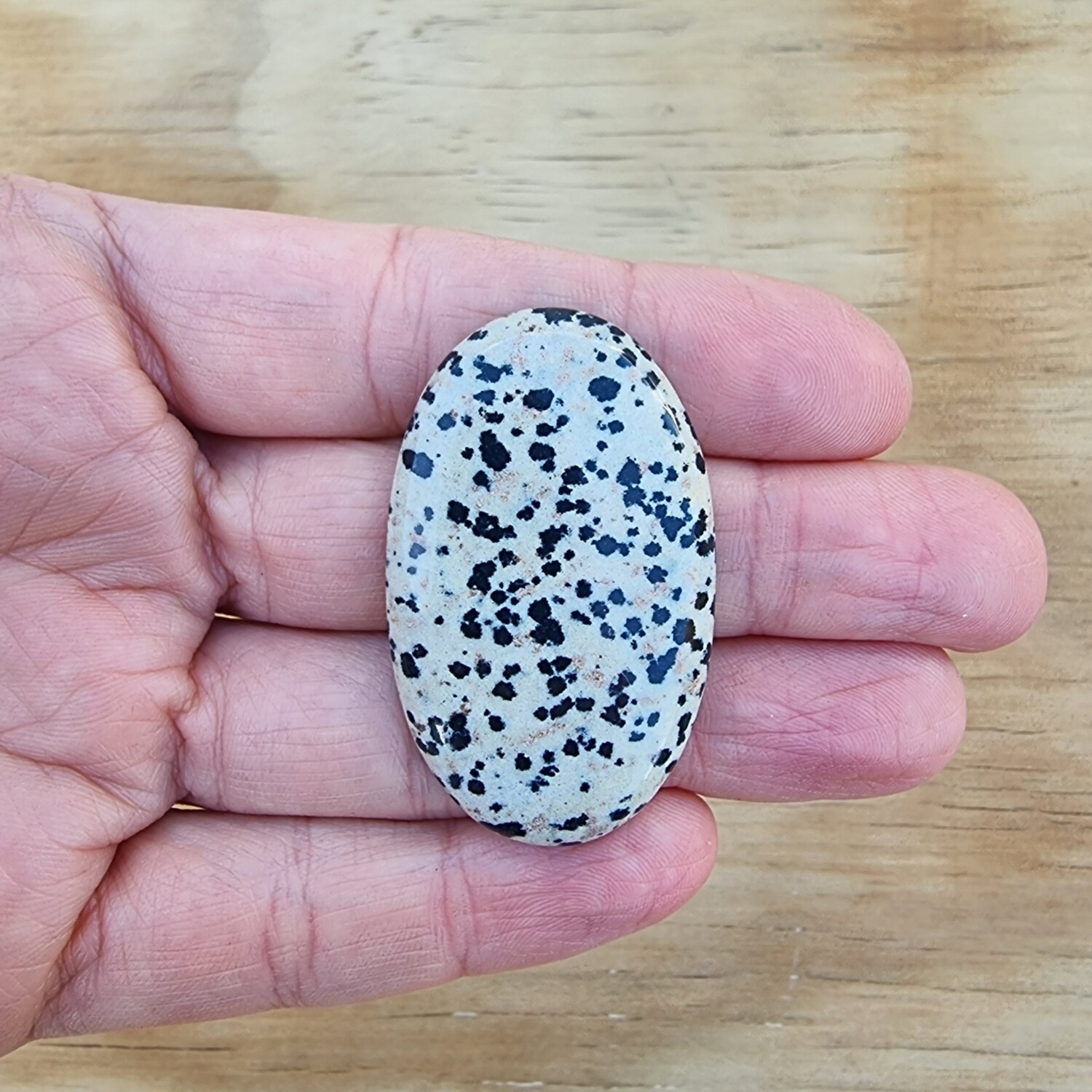 Dalmatian Jasper Cabochon / Pendant for jewelry making or diy craft projects 14.4gr