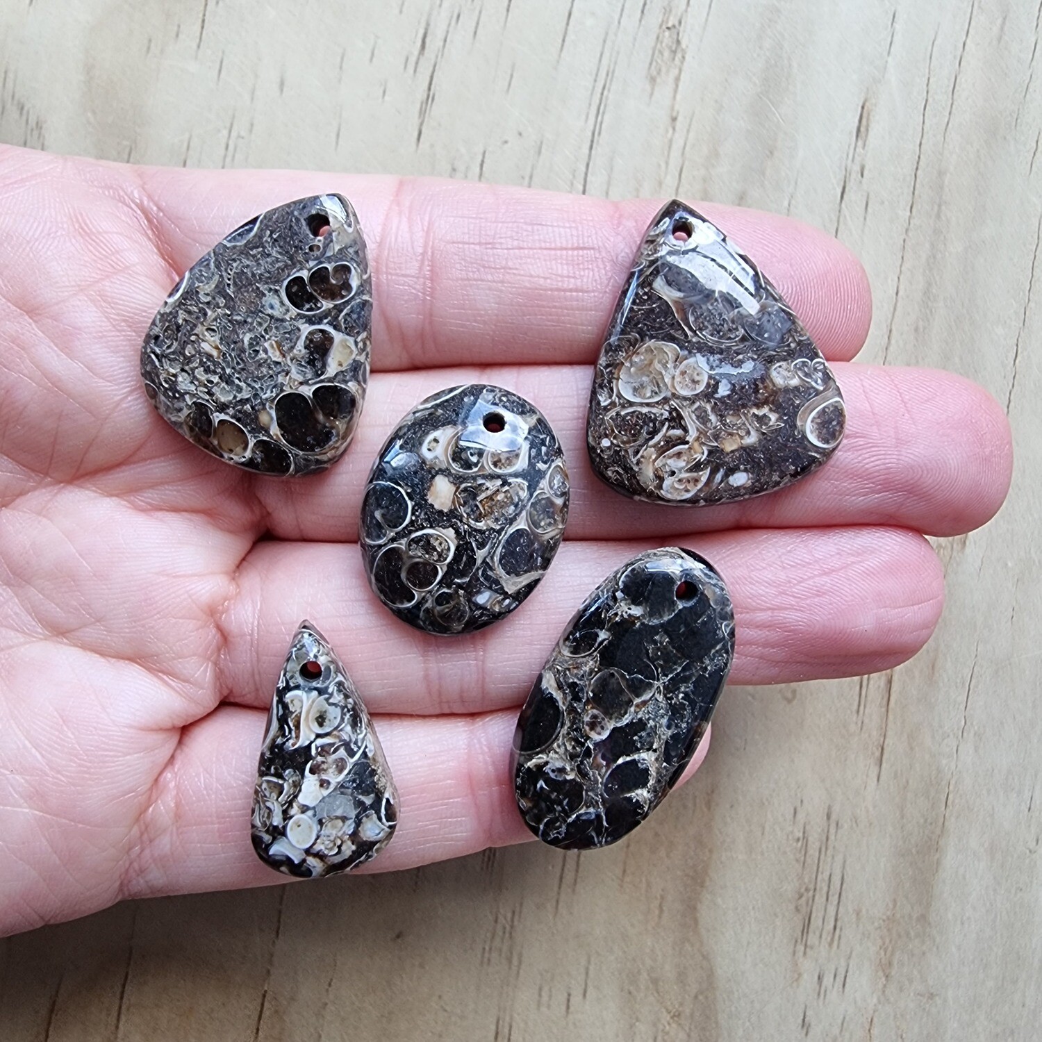 5 x Turtela Jasper top drilled Pendant Lot for jewelry making or diy craft projects 24.8gr
